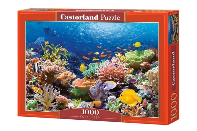 Puzzle 1000 pezzi barriera corallina