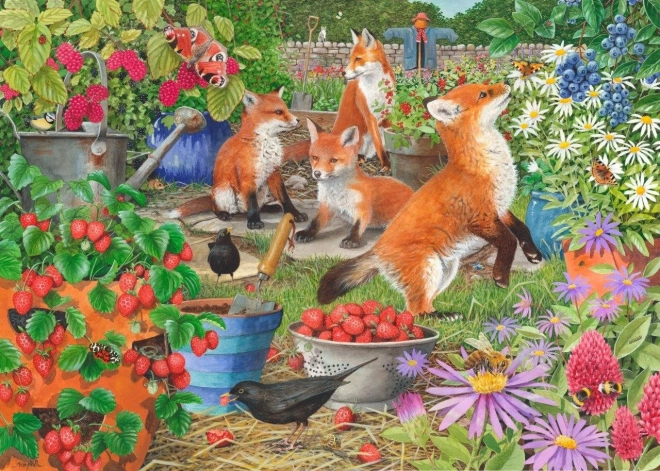Puzzle Dame Volpi 1000 Pezzi