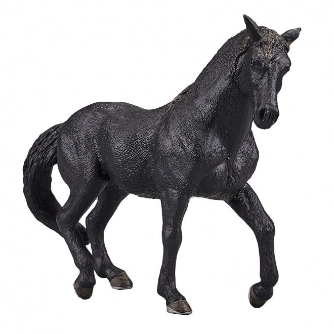 Cavallo Andaluso Nero Mojo