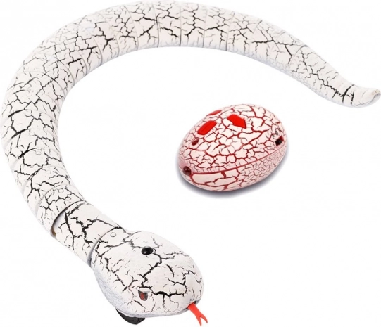 Movimento e design realistici