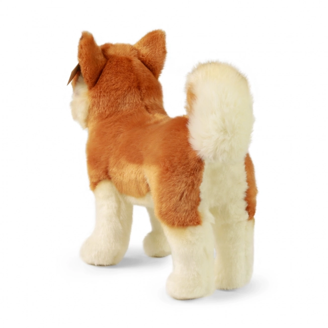 Cane di peluche Akita Inu 30 cm ecologico