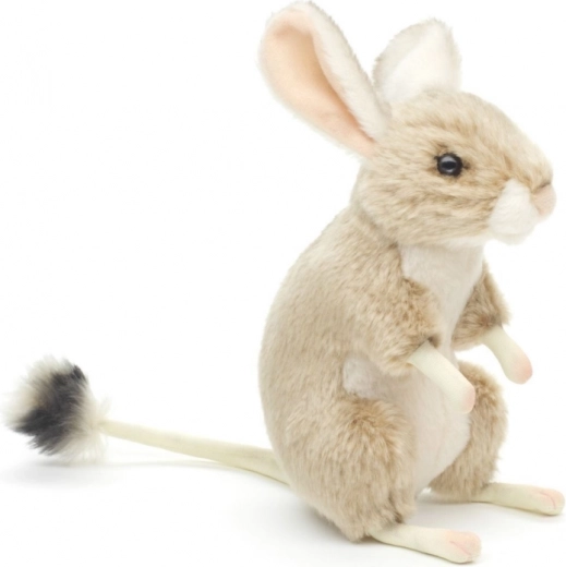 Dettagli realistici del gerboa