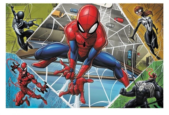 Puzzle Spiderman 300 Pezzi