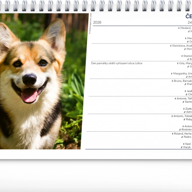 Calendario da tavolo Cani 2026