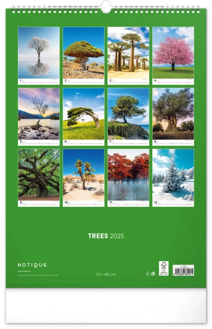 Calendario da parete Alberi 2025