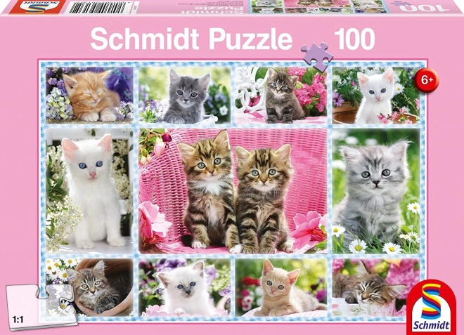 Puzzle Gattini 100 pezzi