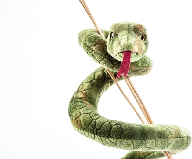 Corpicino elastico per un gioco creativo