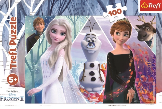 Puzzle Frozen 2: Terra Incantata 100 Pezzi