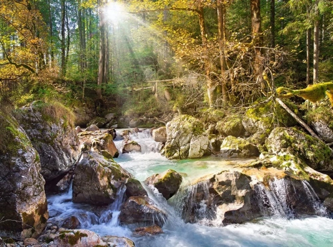 Puzzle fiume nel bosco 2000 pezzi