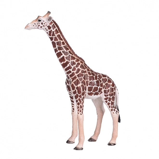 Riproduzione Realistica Giraffa Maschio