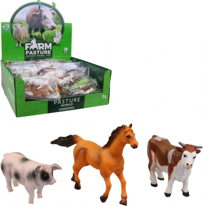 Animali domestici in scatola display