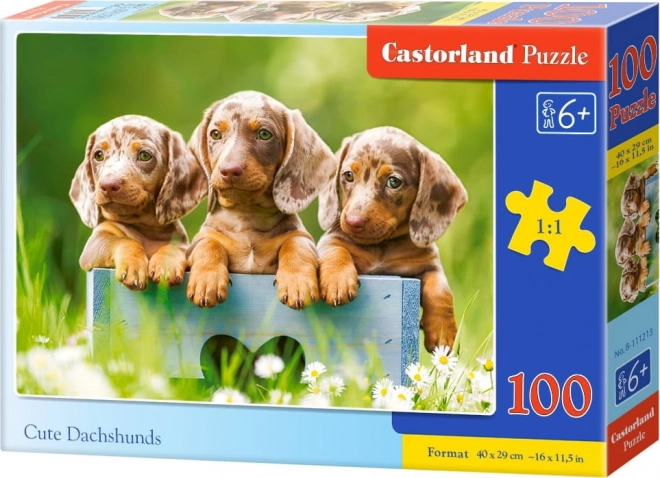 Puzzle 100 pezzi Bassotti adorabili