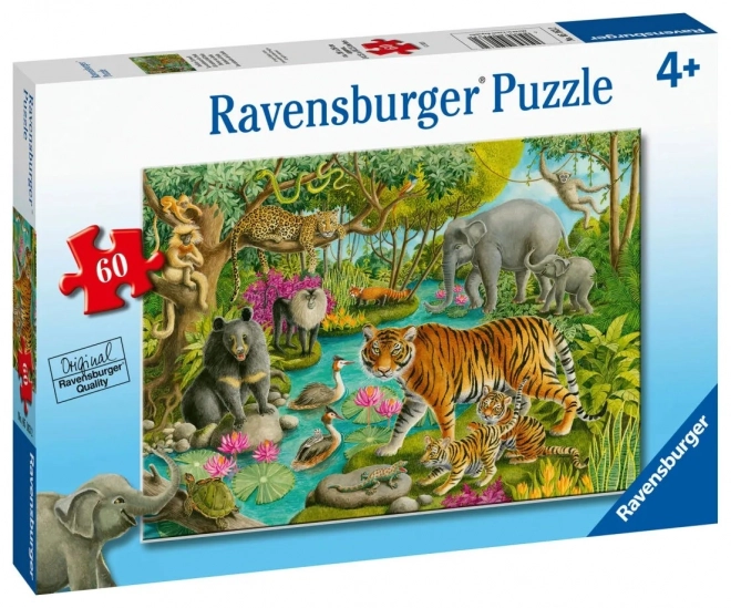 Puzzle Animali Dell'India Ravensburger