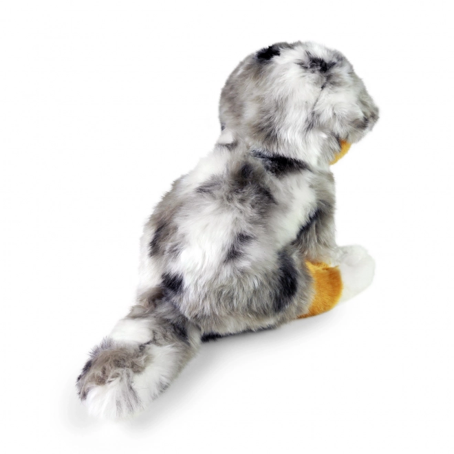 Peluche cane pastore australiano eco-friendly 30 cm