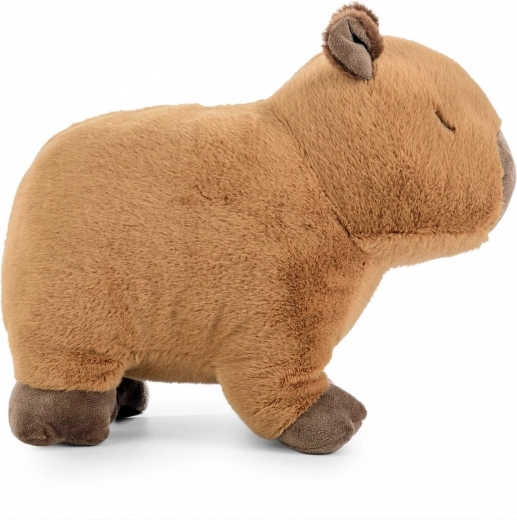 Design naturale e rilassante