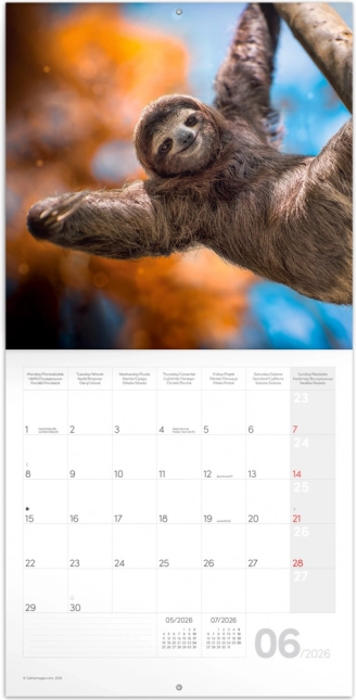 Calendario con note Sorriso per l'anno 2026