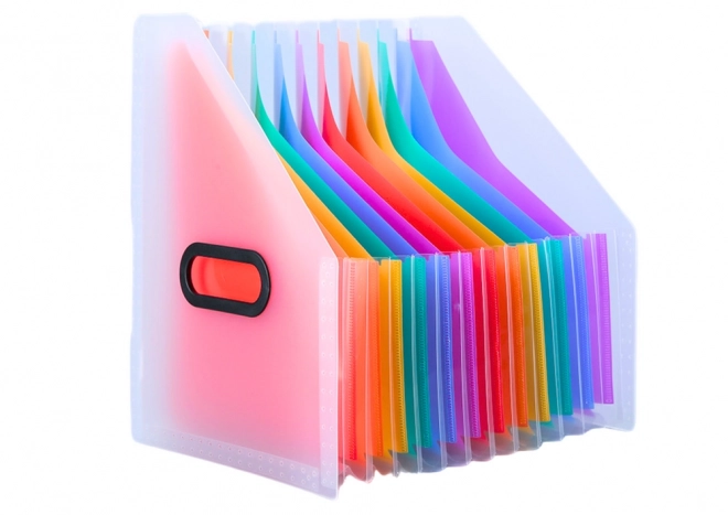 Cartella pion organizzatore per documenti con linguette colorate e tasche A4