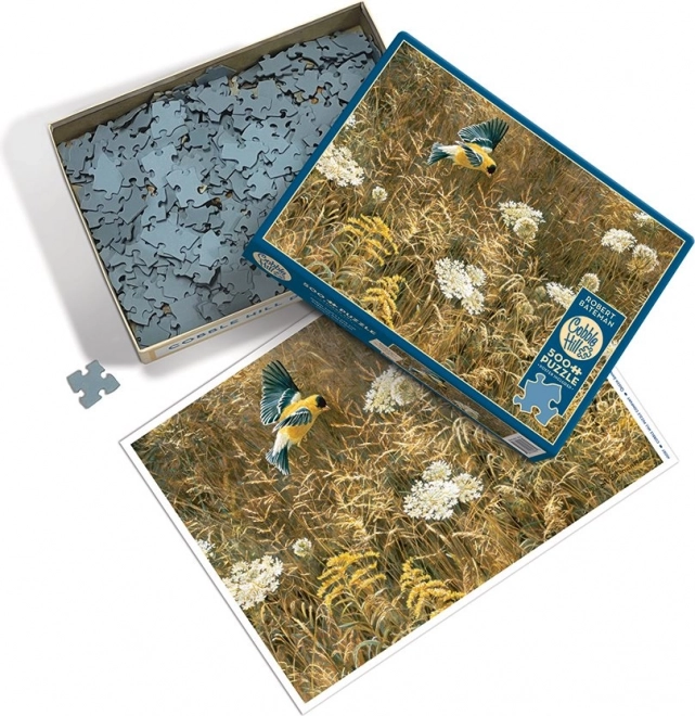 Puzzle Cobble Hill: Fiori Regina Anna e Solidago Americano 500 Pezzi