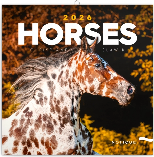 Calendario Illustrato Cavalli Christiane Slawik 2026