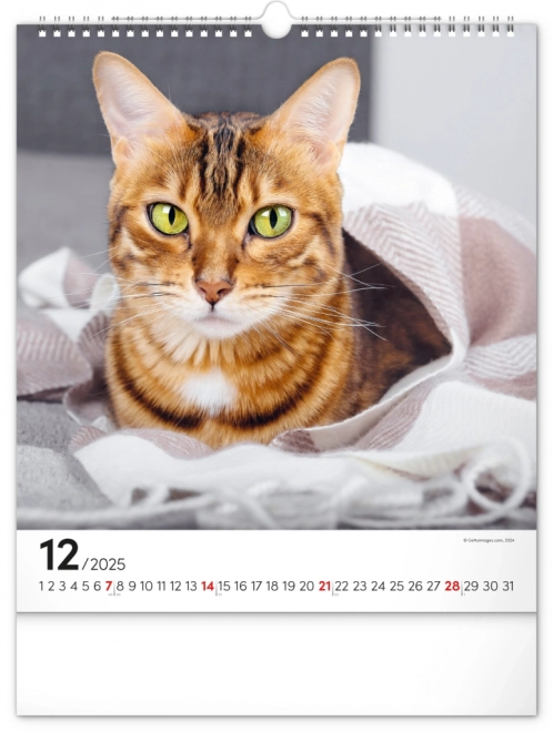 Calendario da parete Gatti 2025