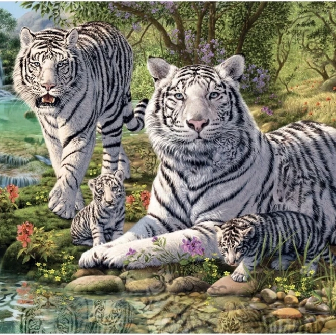 Puzzle Tigri Bianchi 1000 Pezzi – Collezione Segreta di Dino