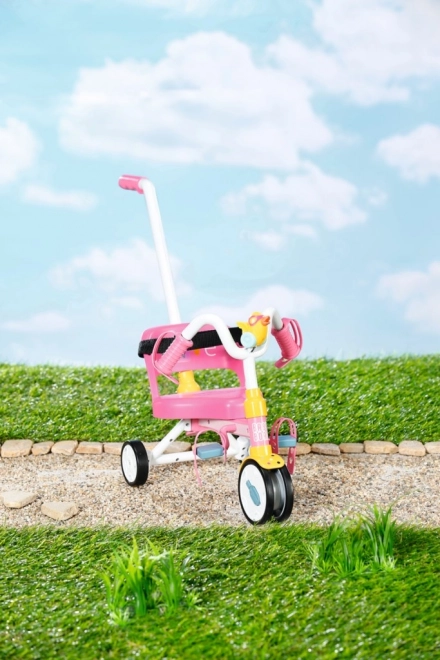 Triciclo per bambini BABY born