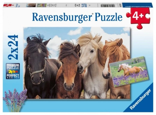 Puzzle Cavalli 2x24 Pezzi Ravensburger