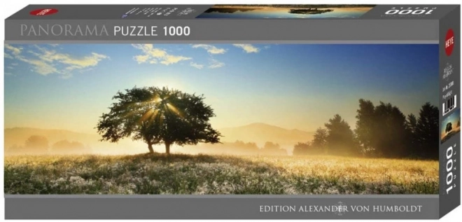 Puzzle panorama Heye gioco di luci 1000 pezzi