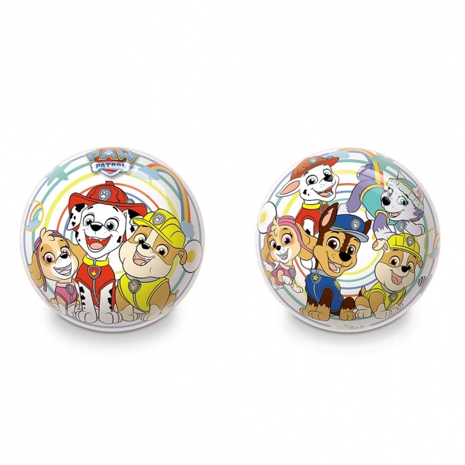 Pallone Paw Patrol