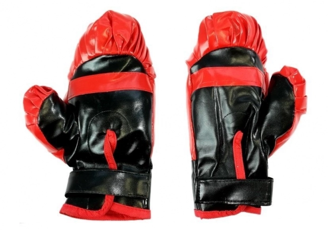 Set da Boxe Guanti e Scudo per Bambini