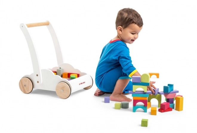 Le Toy Van carrello con mattoncini arcobaleno