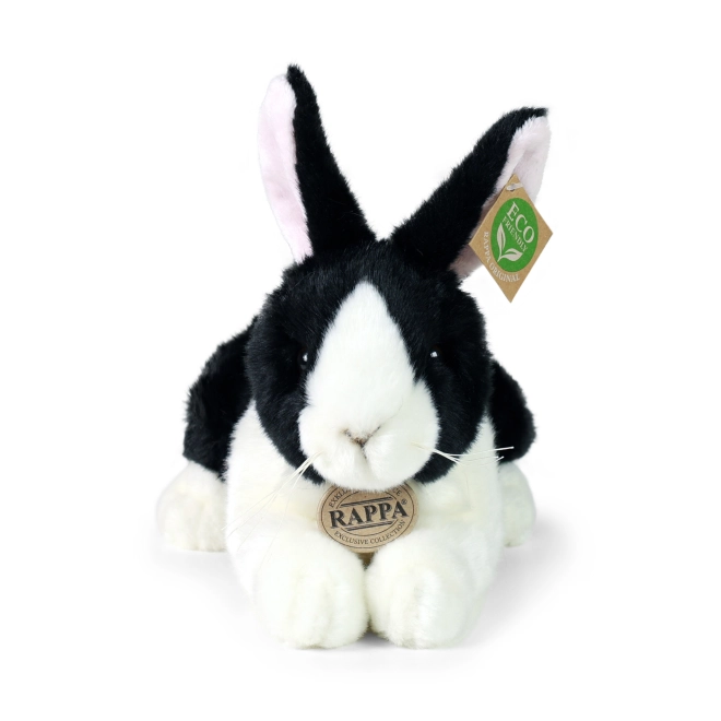 Collezione esclusiva RAPPA