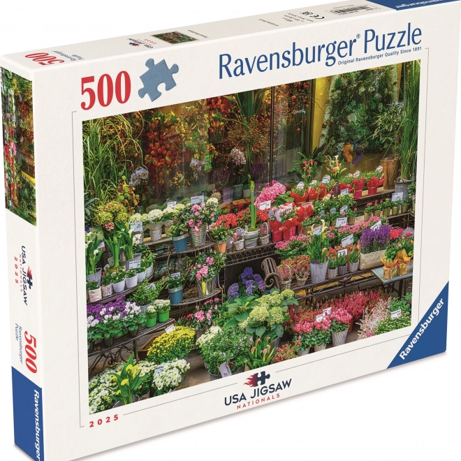 Puzzle Costa di Pali, Hawaii 500 pezzi