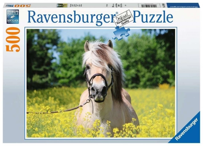 Puzzle cavallo bianco 500 pezzi