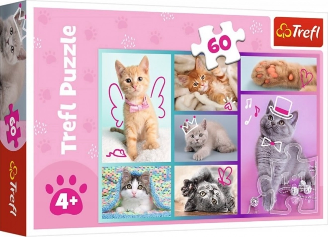 Puzzle 60 pezzi Gattini dolci