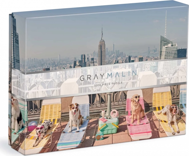 Puzzle di New York 1000 pezzi di Gray Malin