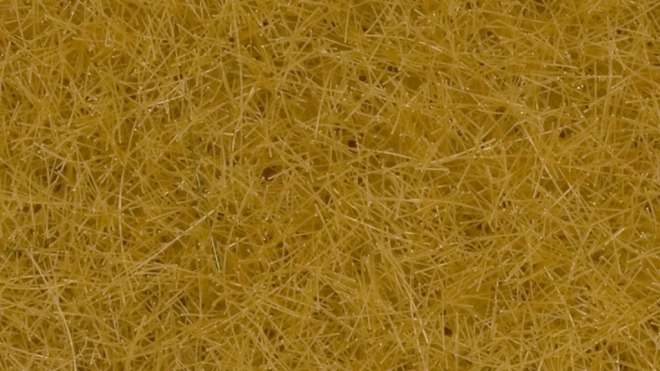 Erba statica asciutta 12 mm