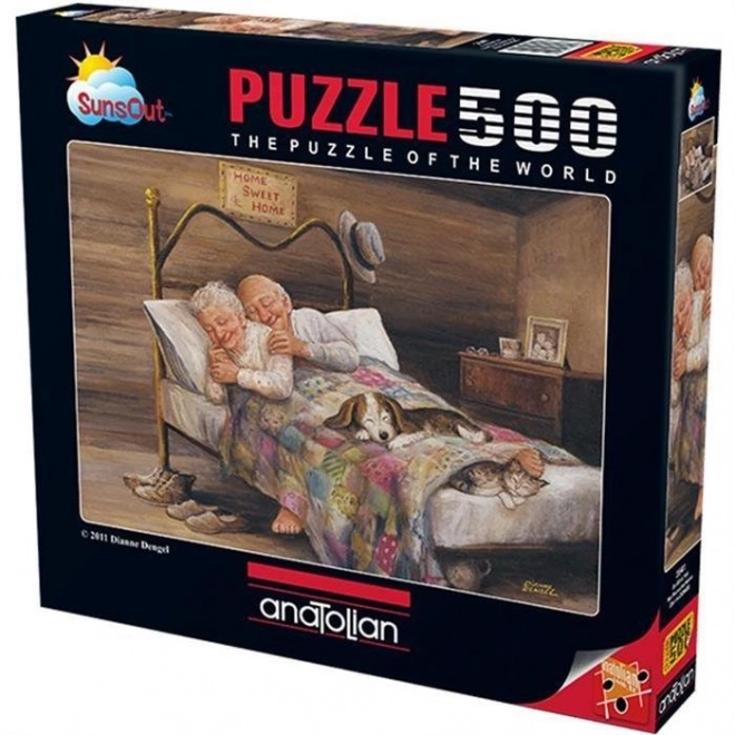 Puzzle ovunque bene, casa migliore 500 pezzi