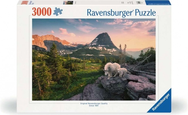 Puzzle RAVENSBURGER Capra alpina con cucciolo 3000 pezzi