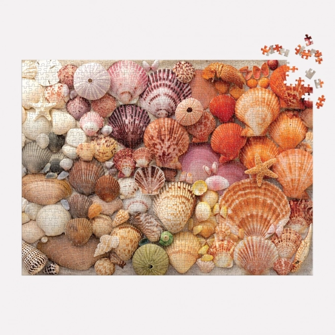 Puzzle Galison Conchiglie Luminosi 1000 Pezzi