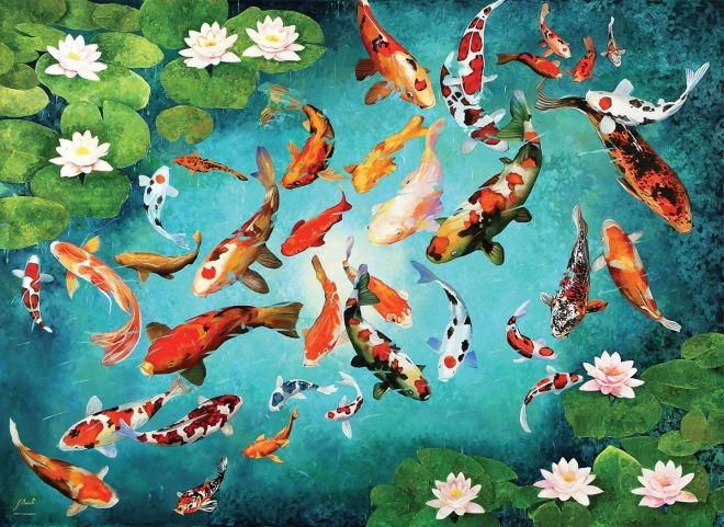 Puzzle Koi Carpe 1000 pezzi