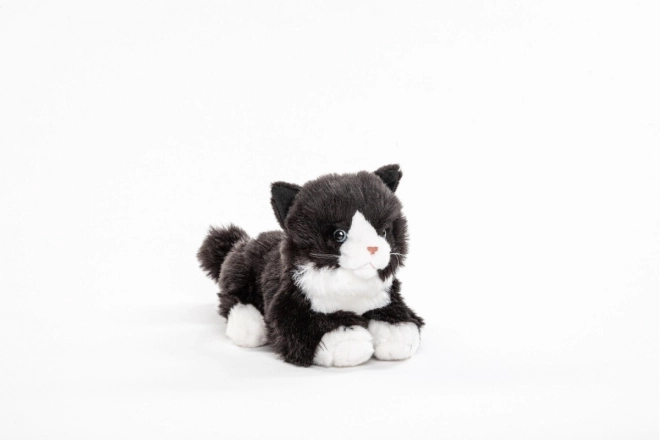 Gatto in peluche sonoro