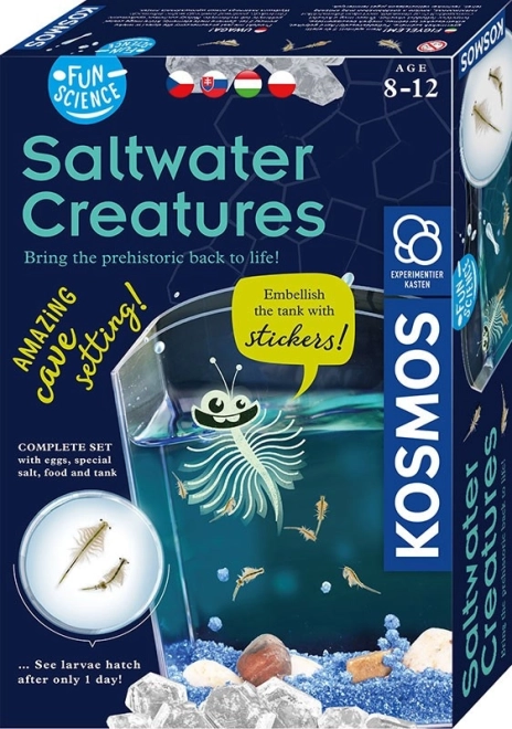 Set di scienze divertenti - Creature di acqua salata