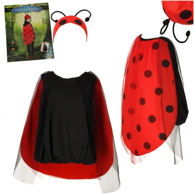 Costume di carnevale Coccinella