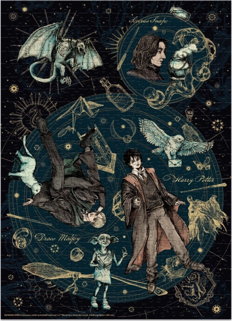 Puzzle DODO Harry Potter: Snape, Harry e Draco 500 pezzi