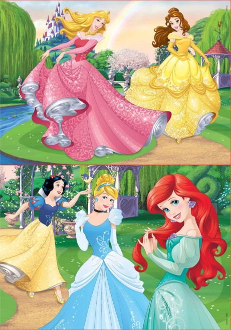 Puzzle Disney principesse 2x20 pezzi