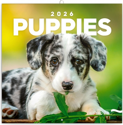 Calendario Note Cuccioli 2026