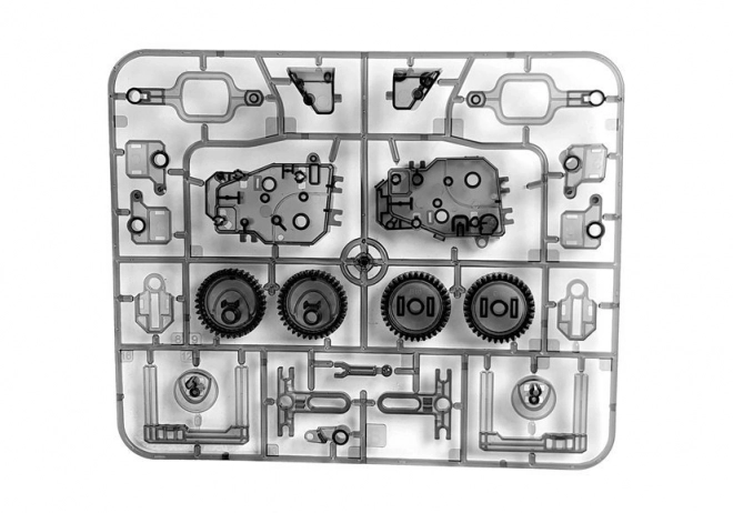 Robot Solare 4 in 1 Tyrannosaurus Rex Insetto Kit Educativo Scientifico