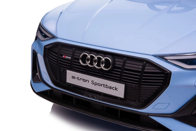 Audi E-Tron Autobatteria blu QLS-6688