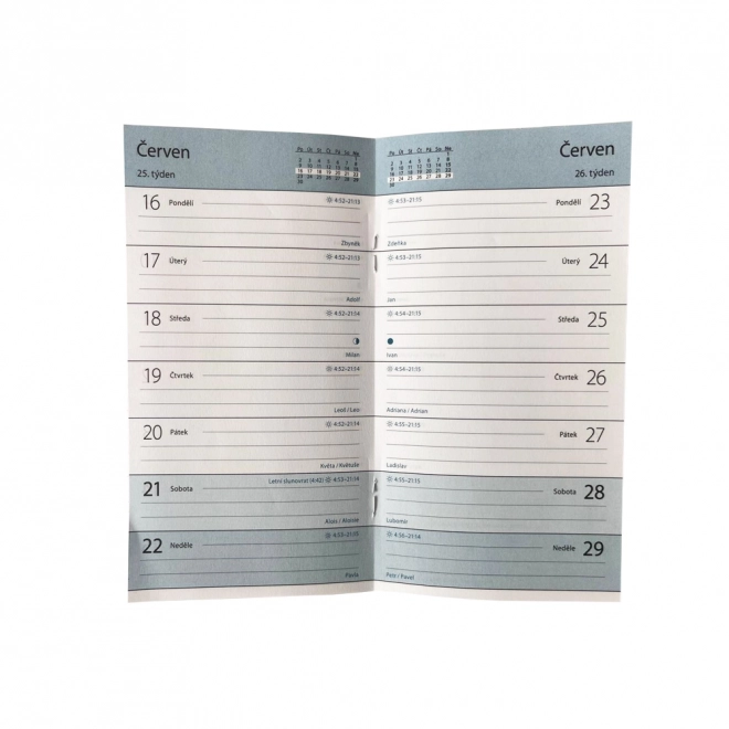 Agenda settimanale 2025 PVC PASTELINI grigio